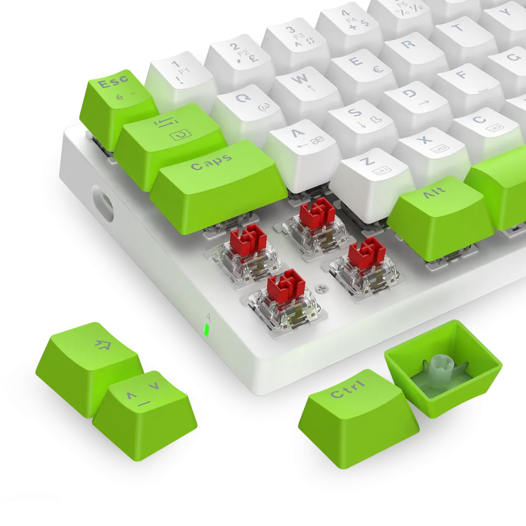 T-DAGGER T-TGK321WG-LIT, ARENA LITE, USB Kablolu, Türkçe Q, Rainbow Backlight, Red Mekanik Switch, 61 Tuşlu, Gaming Klav